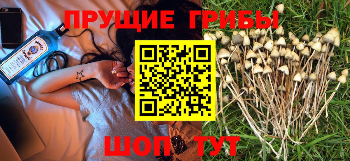 Галлюциногенные грибы мухоморы  Вход с VPN  Ступино  Галлюциногенные грибы GOLDEN TEACHER 