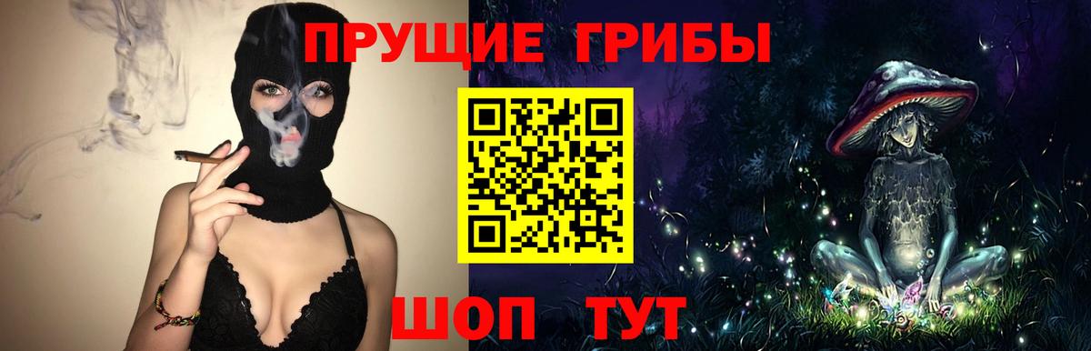 Псилоцибиновые грибы мицелий Ступино